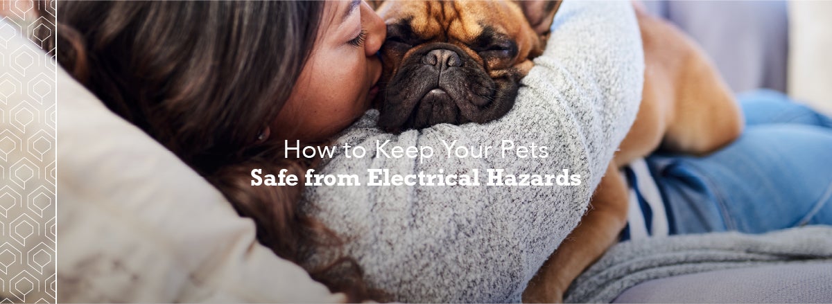 Best Ways To Keep Your Pets Safe From Electrical Hazards | Tri-State ...